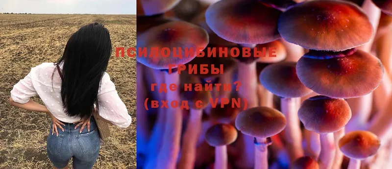 Галлюциногенные грибы Cubensis  Ахтубинск 